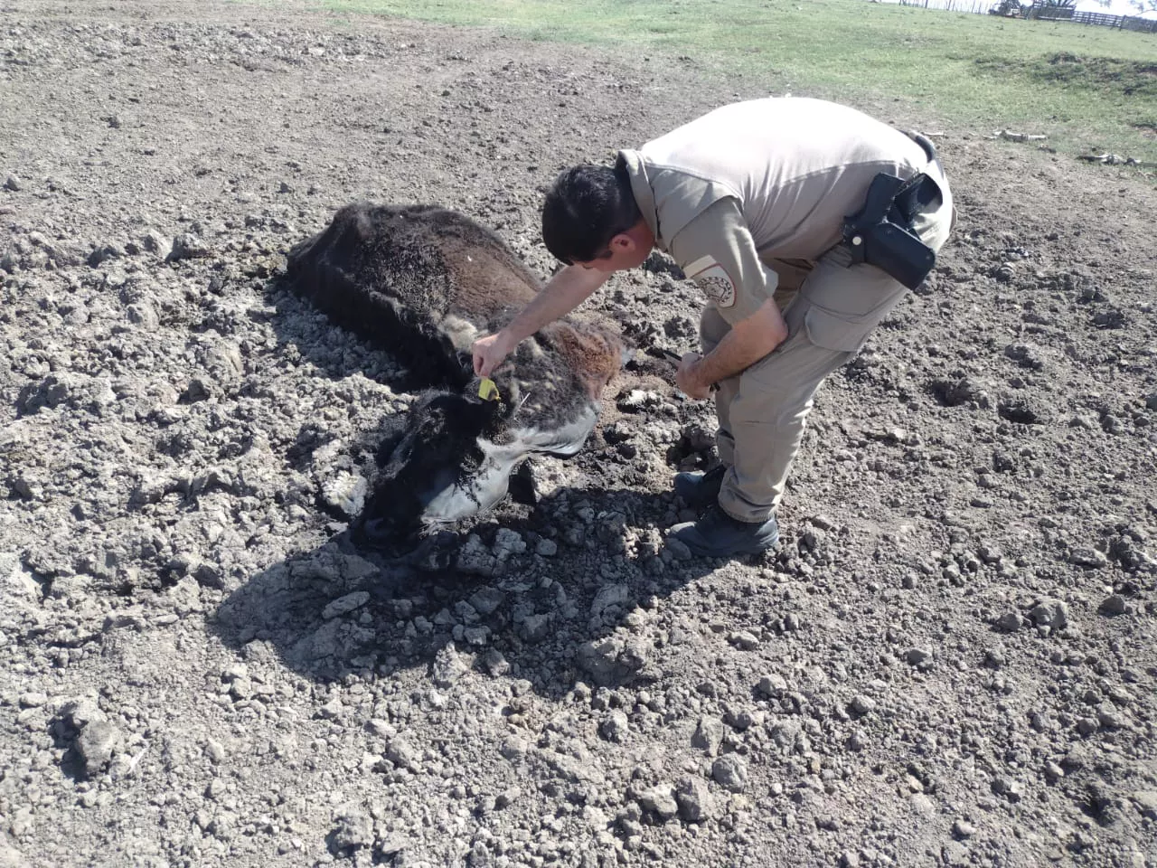 208c93f4-6b64-453d-8958-72144a25277f