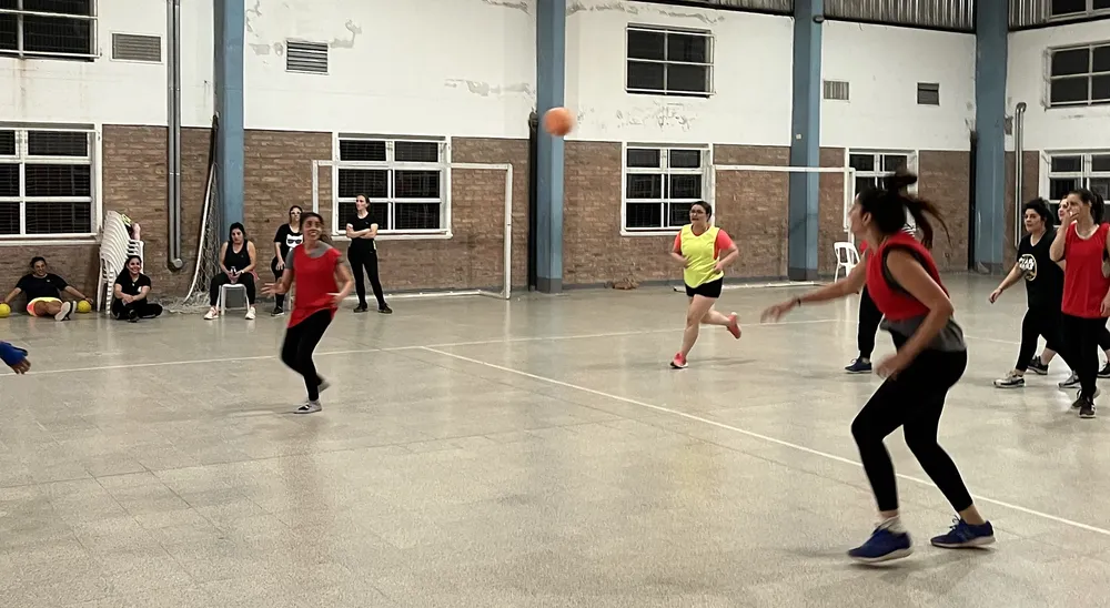 cesto 6 (FILEminimizer)