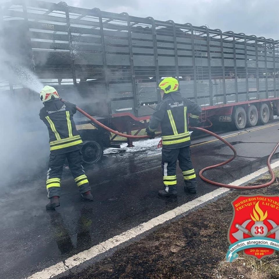 86278078_10162859590320332_7254109572925751296_o