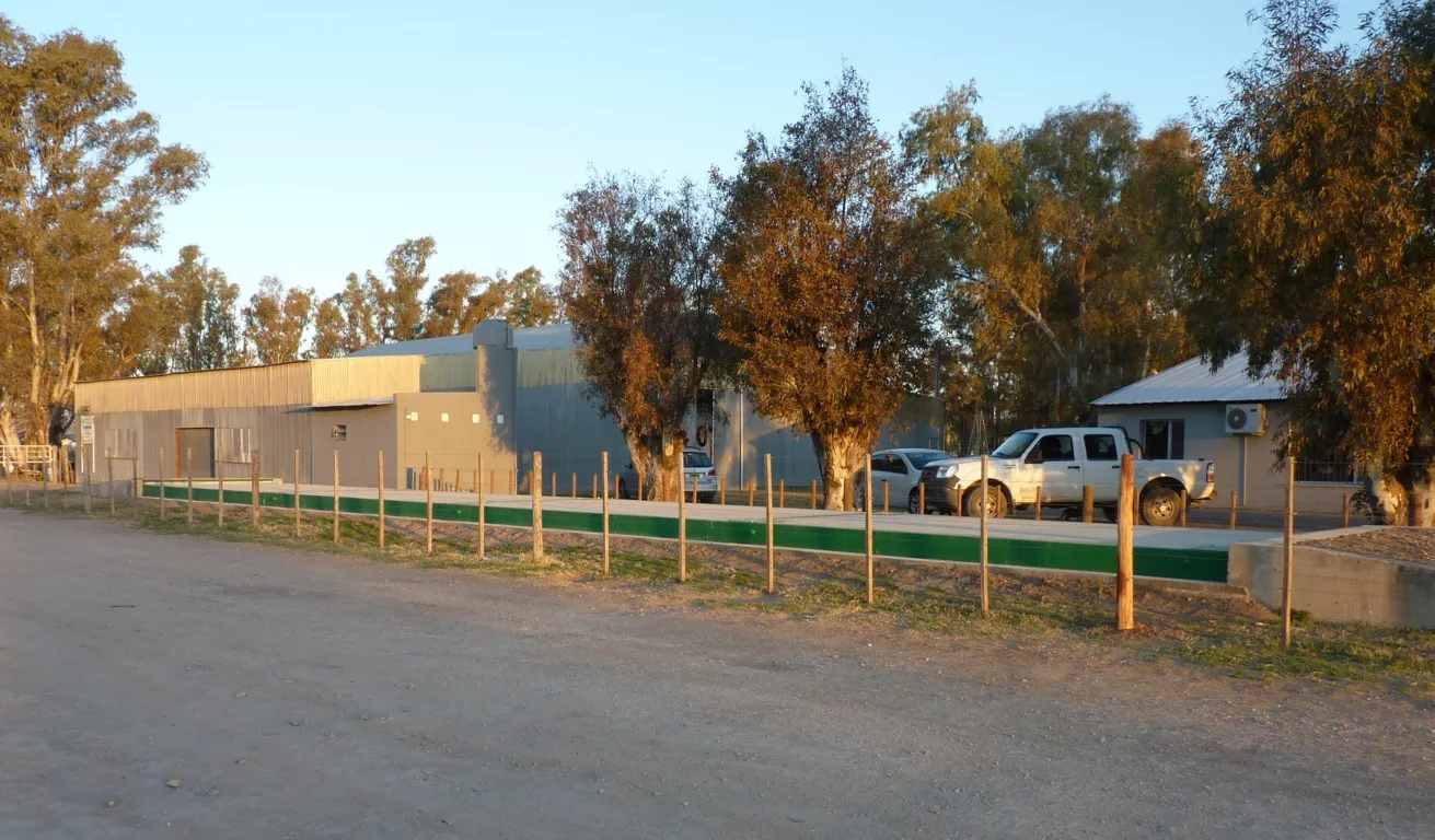 balanza 1 (FILEminimizer)