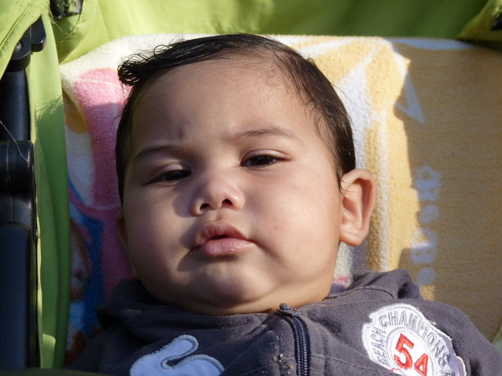 P1240764 (FILEminimizer)