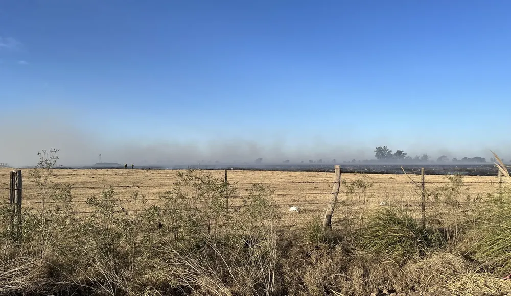 INCNADIO FORTUNA 1 (FILEminimizer)