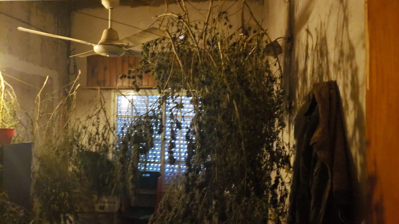 e3fdbb68-c024-4920-9056-4b3b7e8956ad