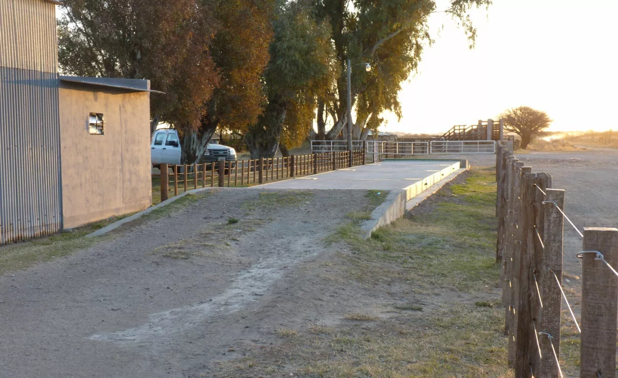 balanza 5 (FILEminimizer)