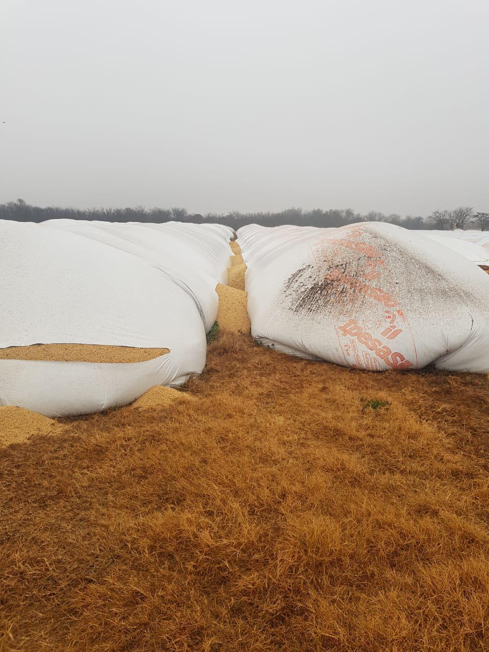 366f7c95-8884-4e31-a8f3-ac6a73dfa2d7