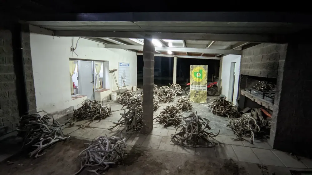 147536_whatsapp-image-2023-09-13-at-11.41.18