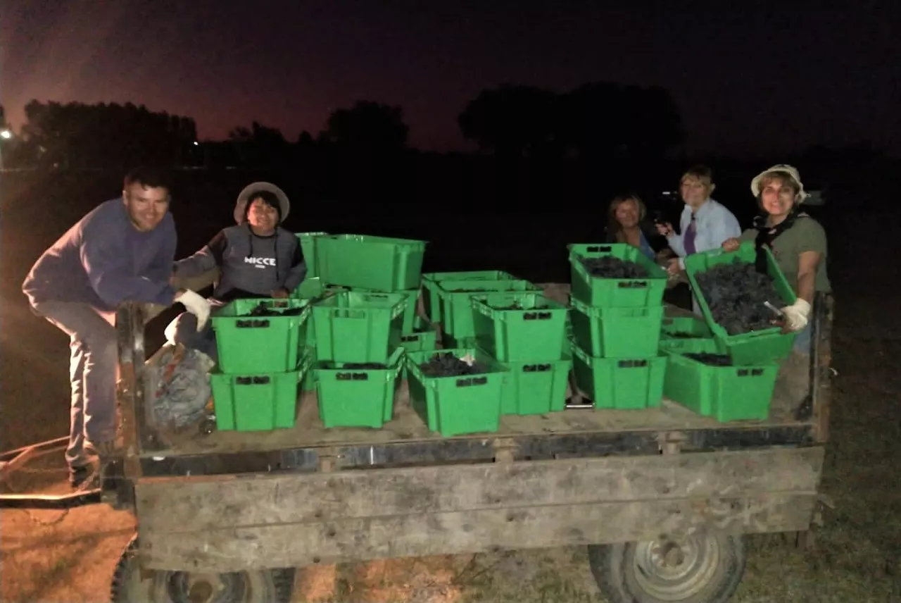 186964_whatsapp-image-2022-04-01-at-10.20.25-am--2-