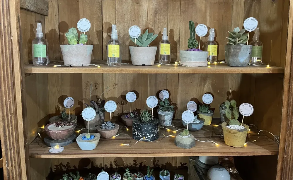 janas mistyka 5 (FILEminimizer)