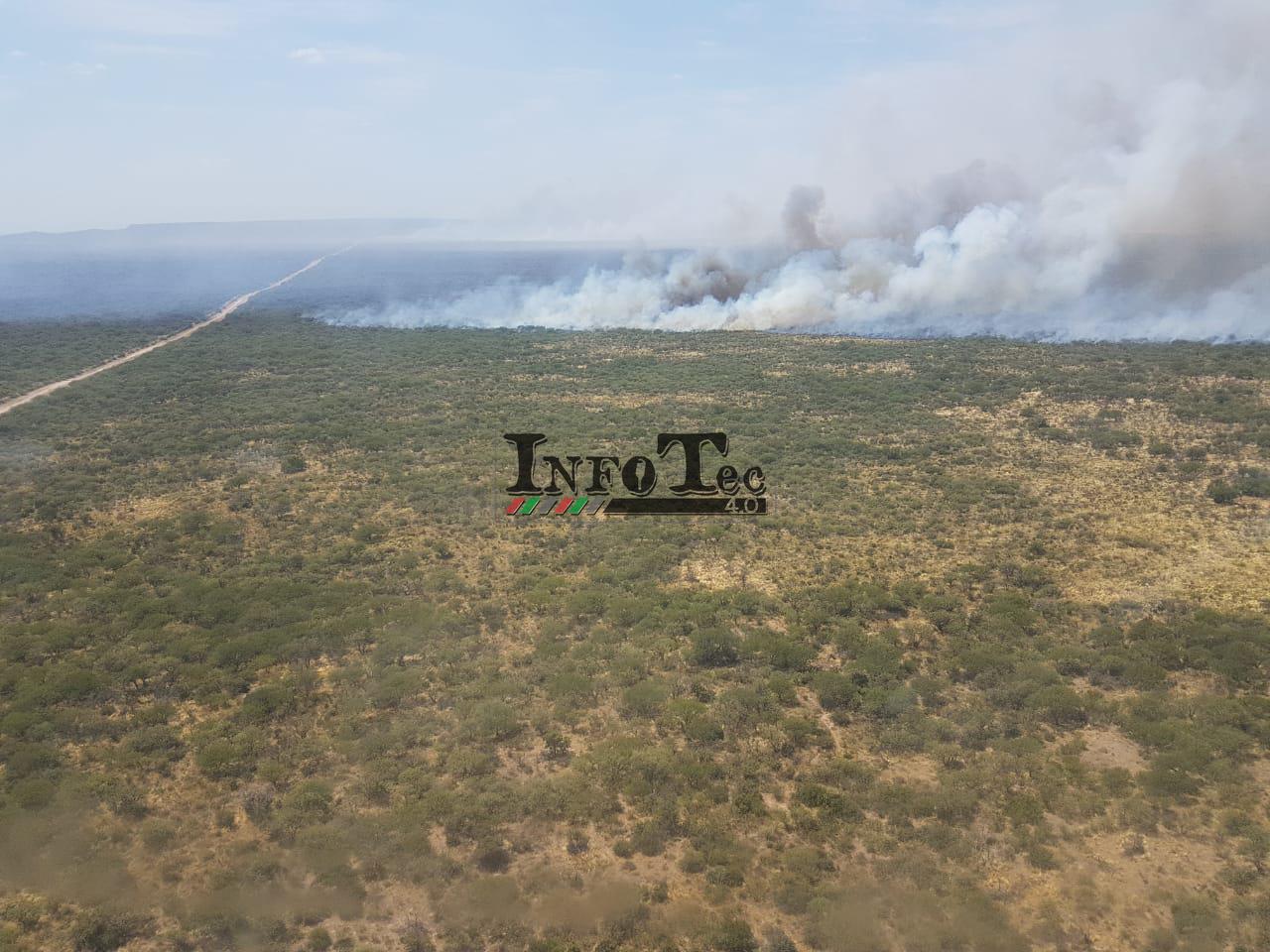 f9a166a0-ff35-479c-bf66-b049c81575a4