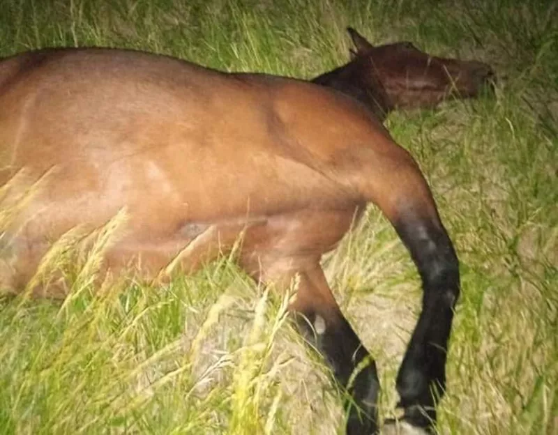 b114d7a5-389f-4ce9-840f-3d04192a64a5