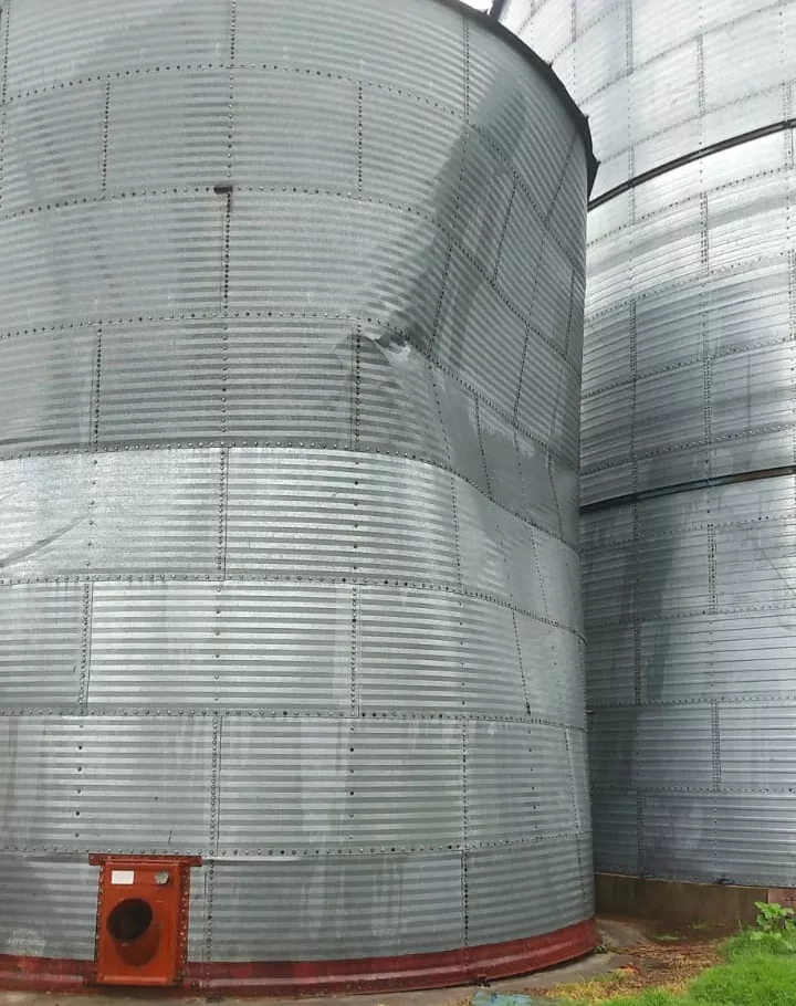 488c3156-3c47-4ad4-a2e5-1d0fcb6a836e