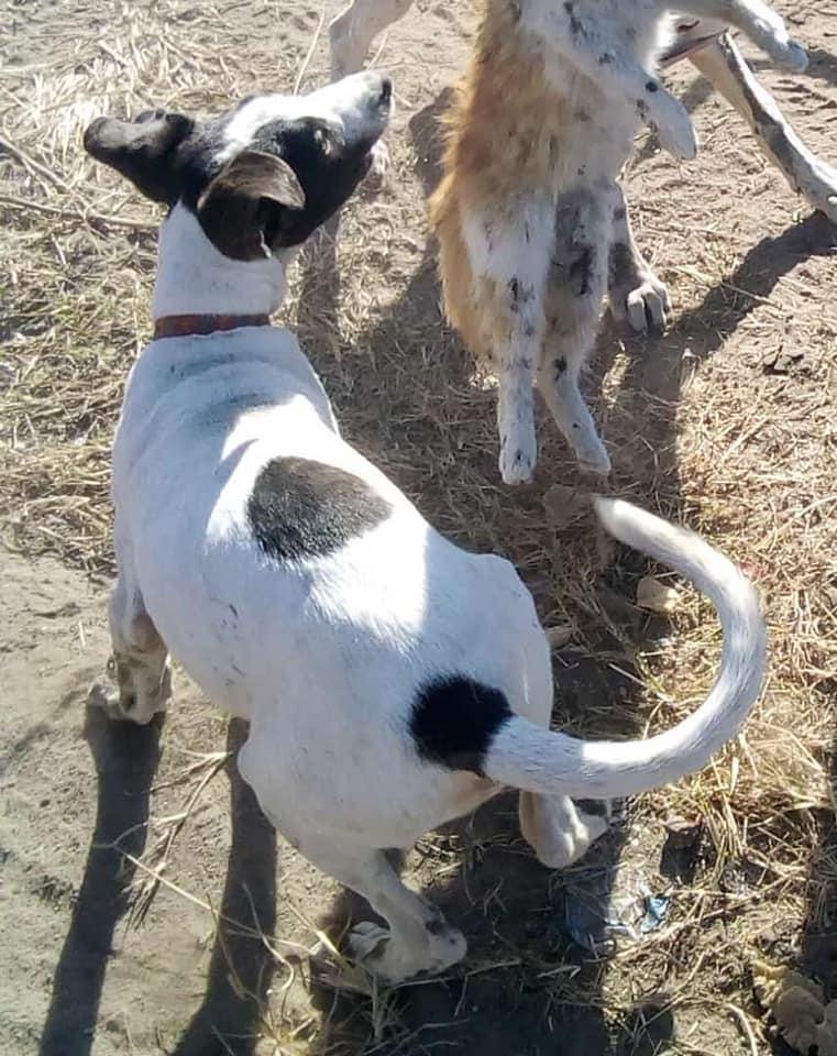 102938334_144665740525224_2463293090979364438_n