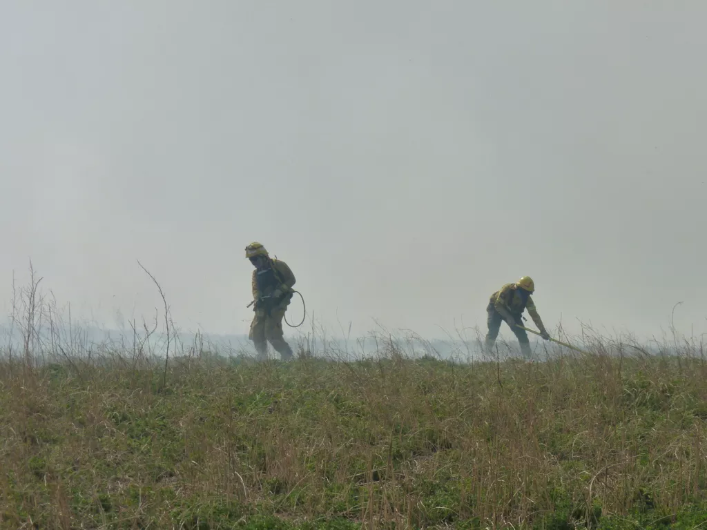 P1160829 (FILEminimizer)