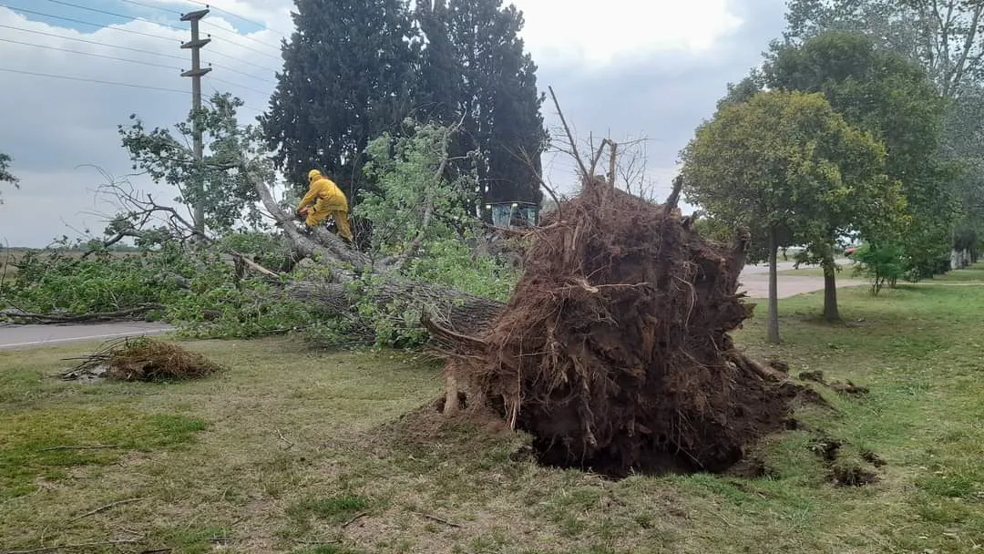 FB_IMG_1697921914263