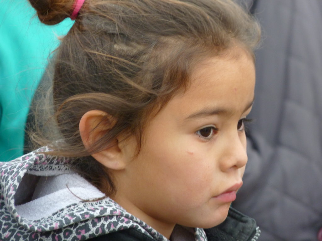 P1250478 (FILEminimizer)