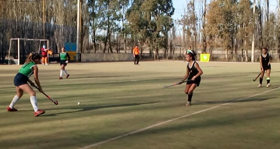 65211579_2523484830996507_9035920478438424576_n