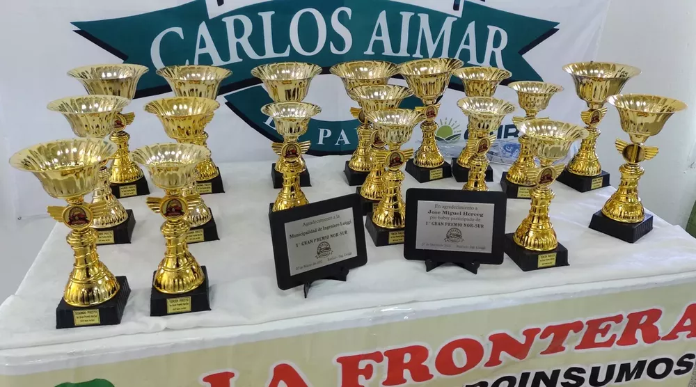 1 trofeos (FILEminimizer)