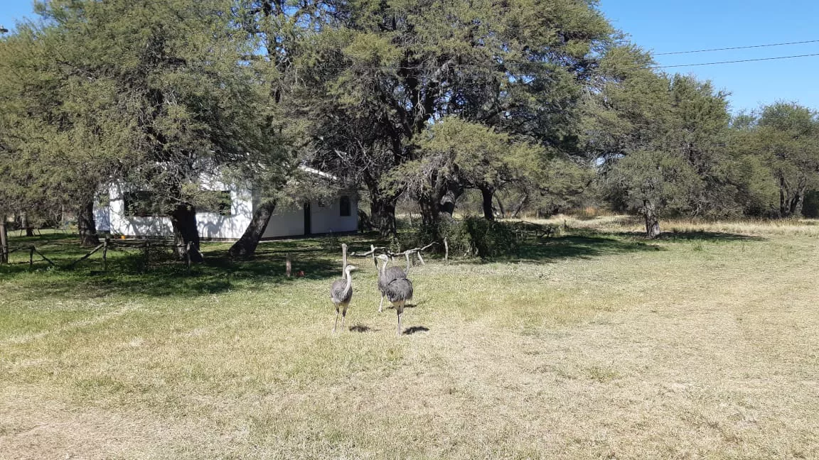 209130_dae5e2dd-e7a1-4848-9d15-903e6729022f