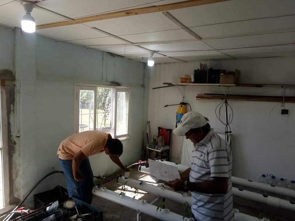 PRODUCTORES AGRICULTURA FAMILIAR 12