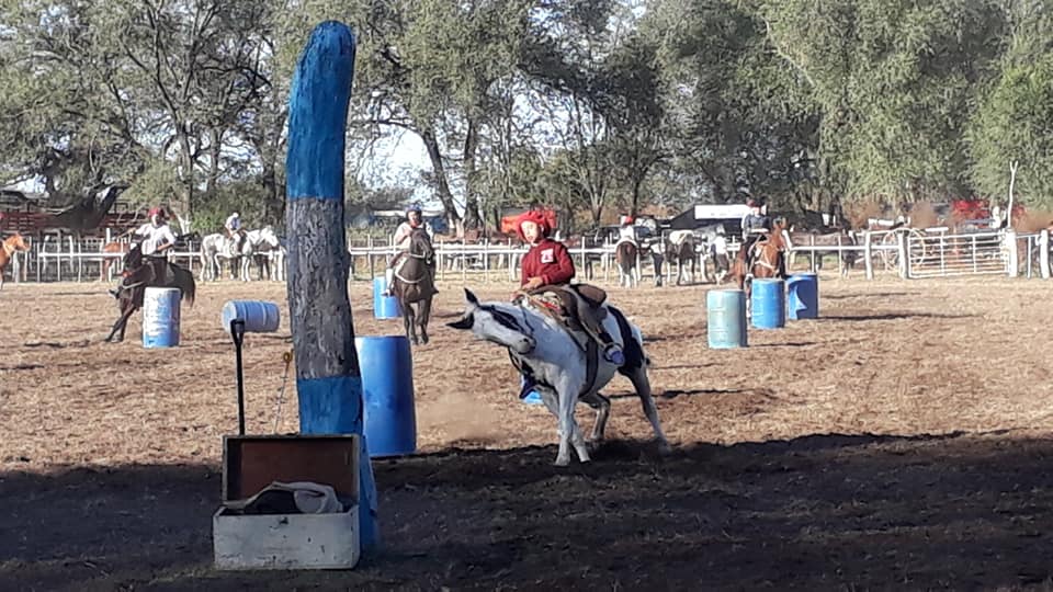 60930441_2464002070278117_1682457939610173440_n