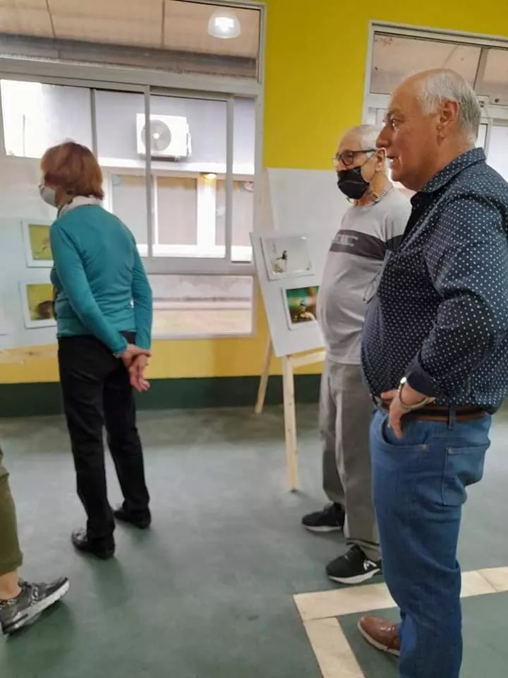 AVES DE LA PAMPA PARERA 17ç