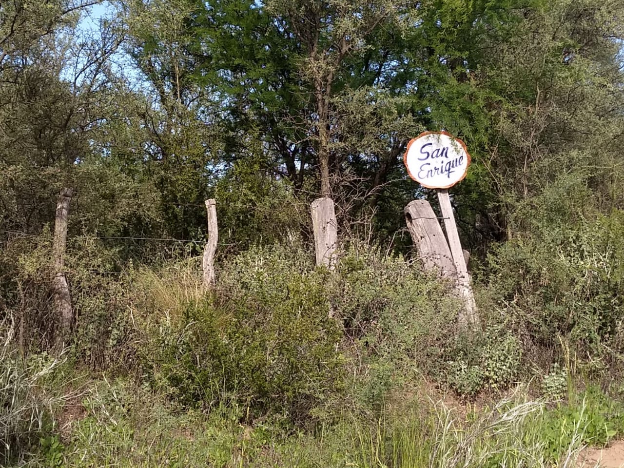 CAMPO HALLAZGO CRANEO 2