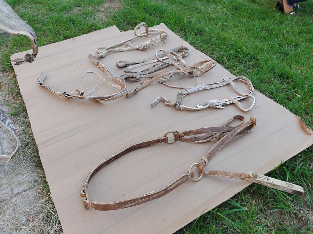 IMG_20210418_183538979 (FILEminimizer)