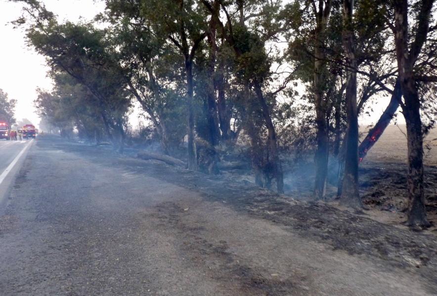 P1060030 (FILEminimizer)