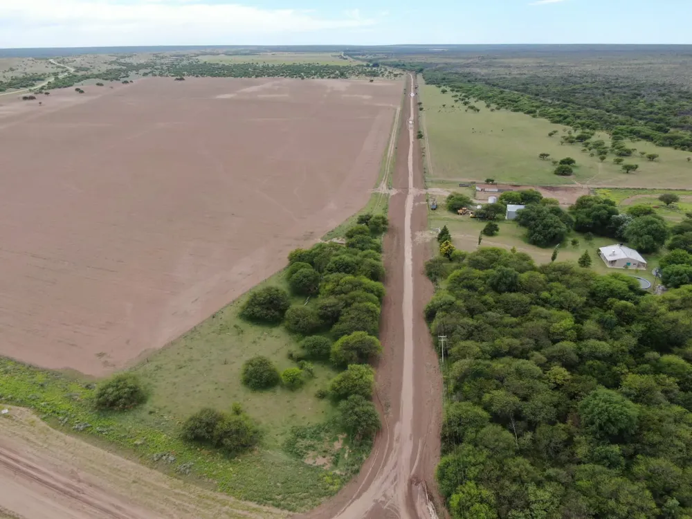 228980_whatsapp-image-2023-10-03-at-08.42.05--1-