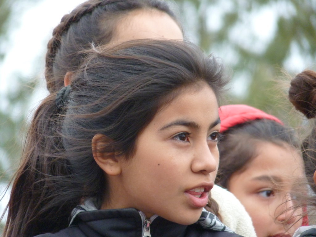 P1250470 (FILEminimizer)