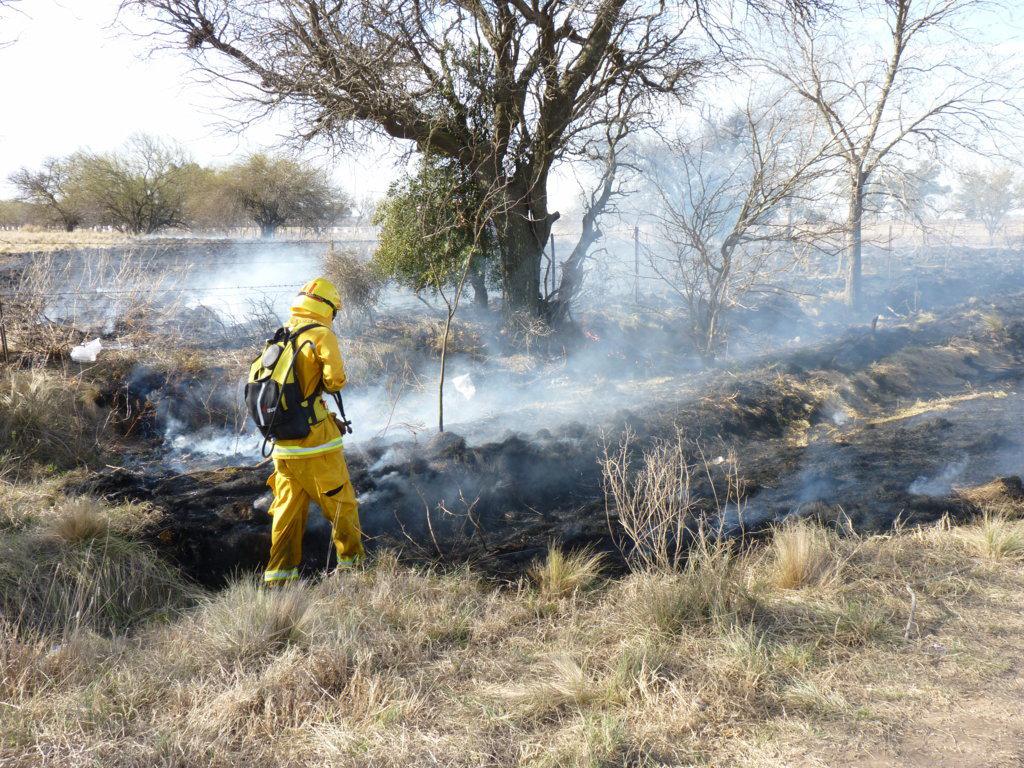 P1050802 (FILEminimizer)