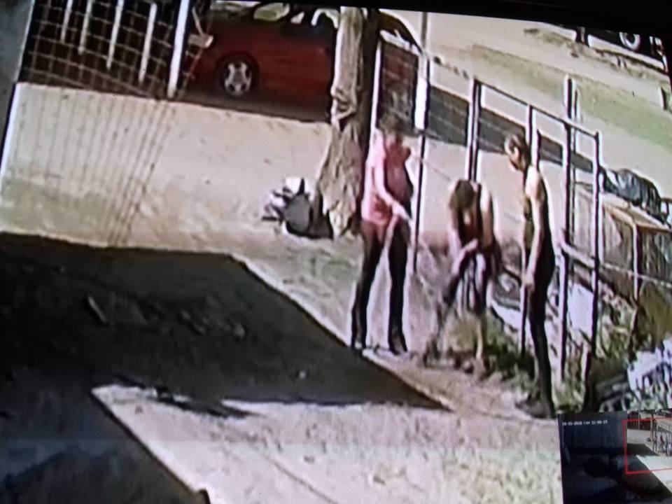 44344474_10161457476210393_5383486131075547136_n