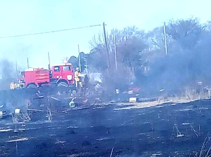 67446366_2572183966126593_8385381800955871232_n