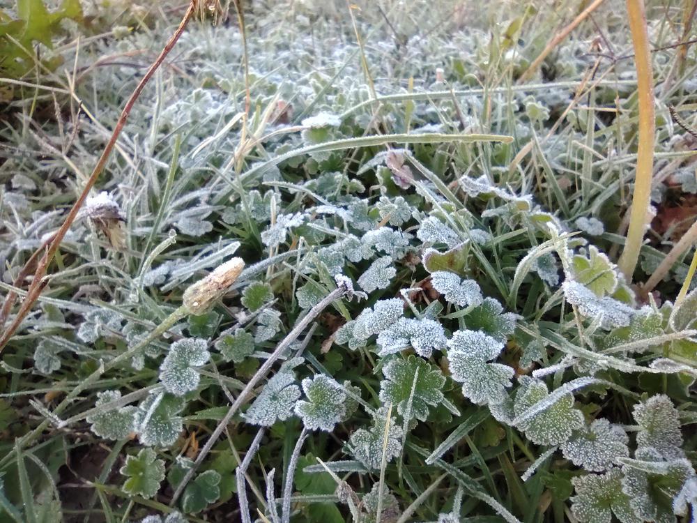 IMG_20210505_080630063