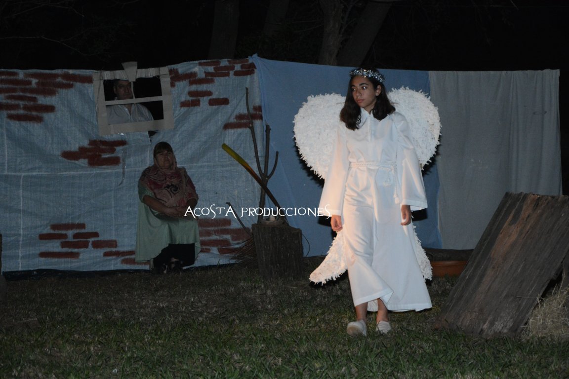 DSC_3527 (FILEminimizer)