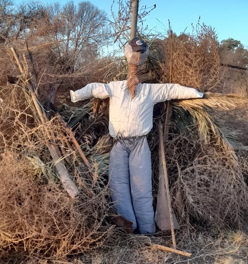 eee00f41-feea-45a9-bd72-43a4e526f112