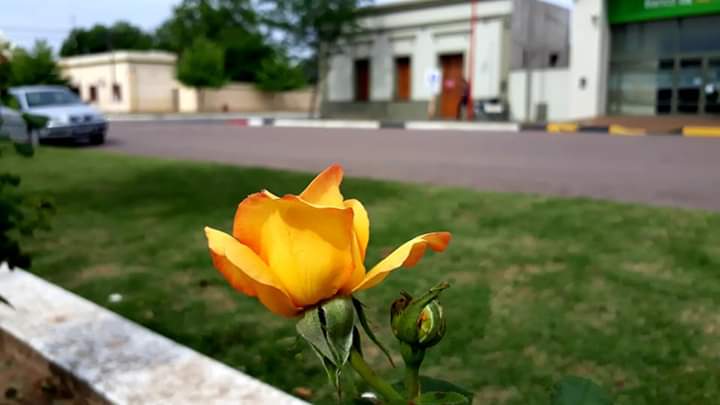 FB_IMG_1573260520488