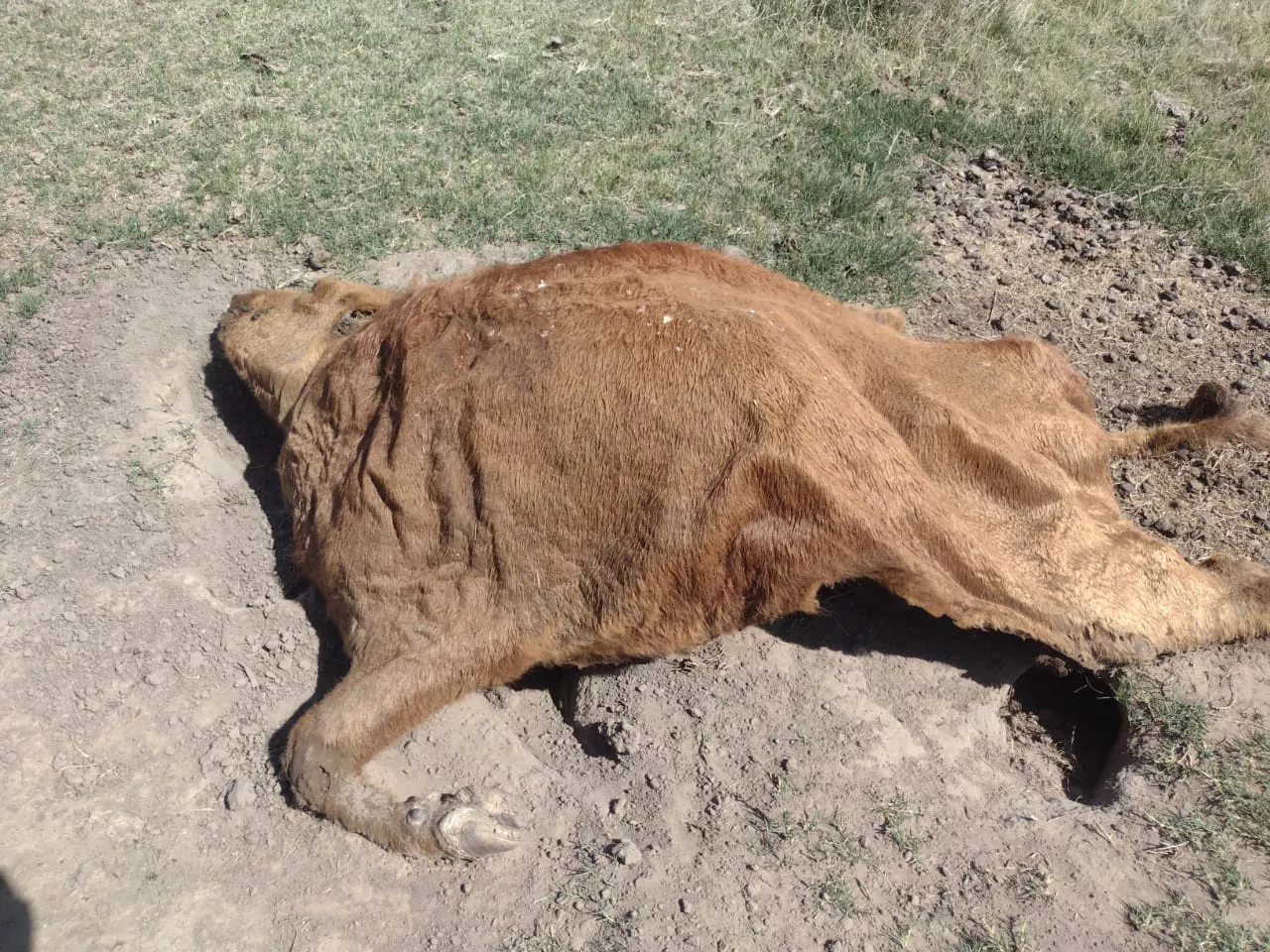 ff397ac8-4c74-4a8b-bc32-393416b44e1c