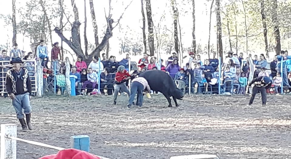 61361520_2464004626944528_6731942352614588416_n