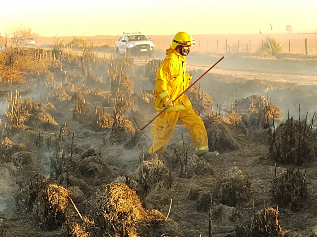 IMG_20210802_175721823 (FILEminimizer)