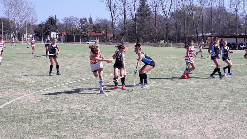 69627775_2656167401061582_7182984536546869248_n