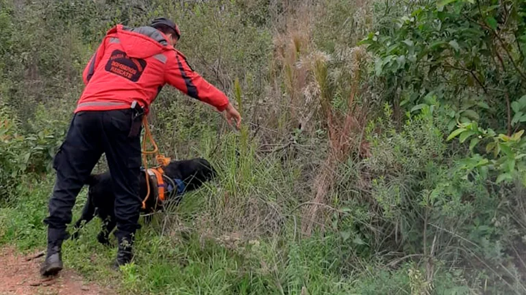 G3VR6CEF3FDKTNISNGCBFSMZYA