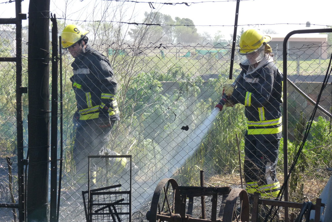 P1420435 (FILEminimizer)