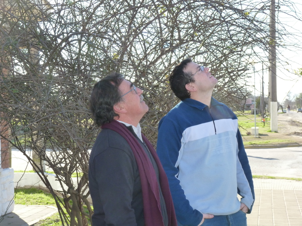 P1230606 (FILEminimizer)