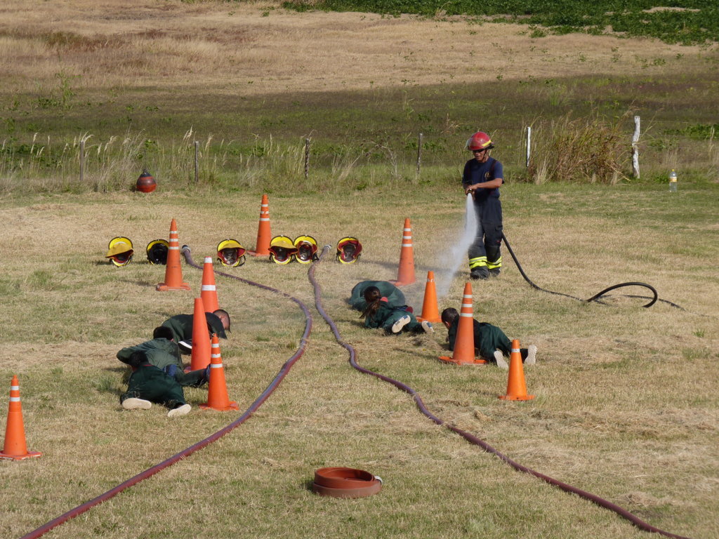 P1340957 (FILEminimizer)