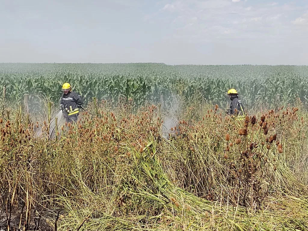 IMG_20211231_105017944 (FILEminimizer)