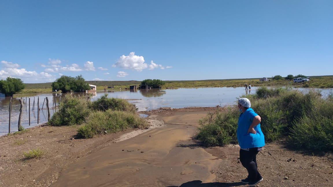 multimedia.normal.bdc1c44d394a3e3d.576861747341707020496d61676520323032312d30312d31342061742031342e5f6e6f726d616c2e6a706567