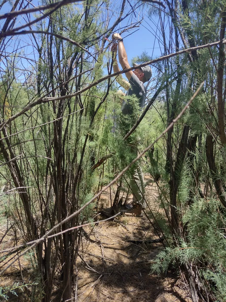 314647_atuel-trabajos-cauce--1-