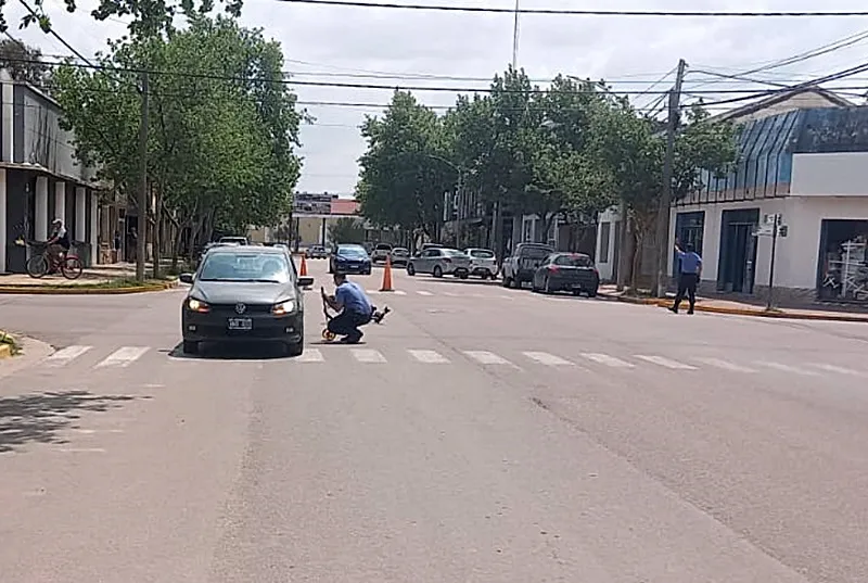 3338fbdf-2a53-46e1-9687-e0d266a136d3