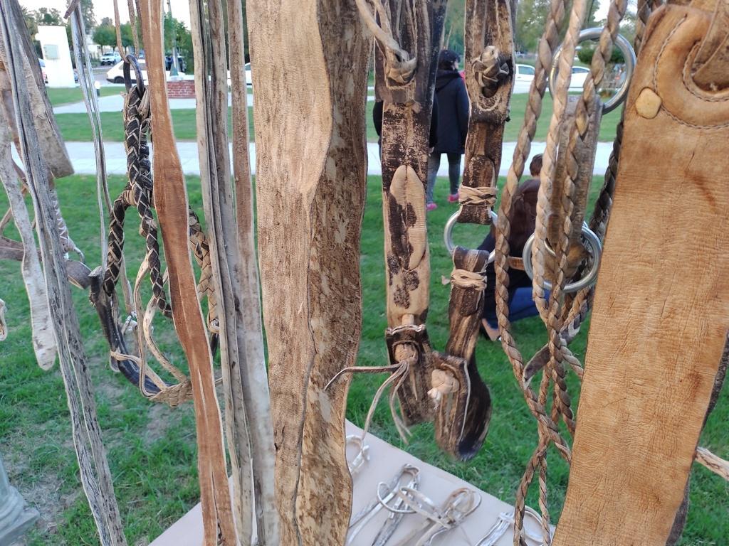 IMG_20210418_183533245 (FILEminimizer)